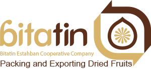 BitaTin Logo