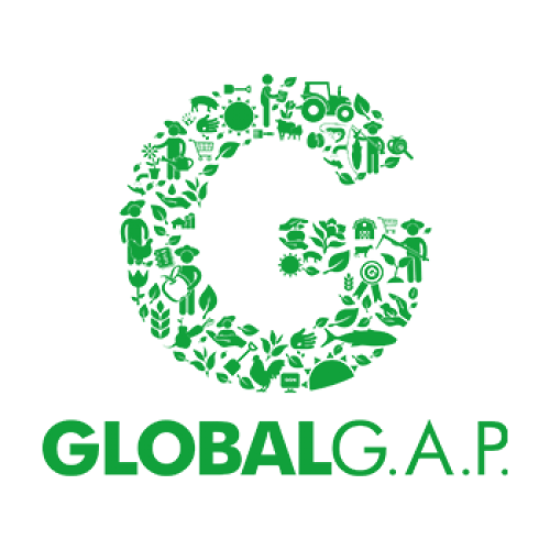 Obtaining GLOBALG.A.P certification for agricultural export developments