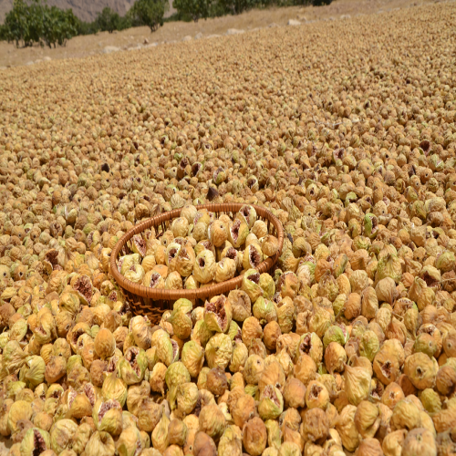 Sustained Commitment of Bitatin Establish Company in Special National Conditions